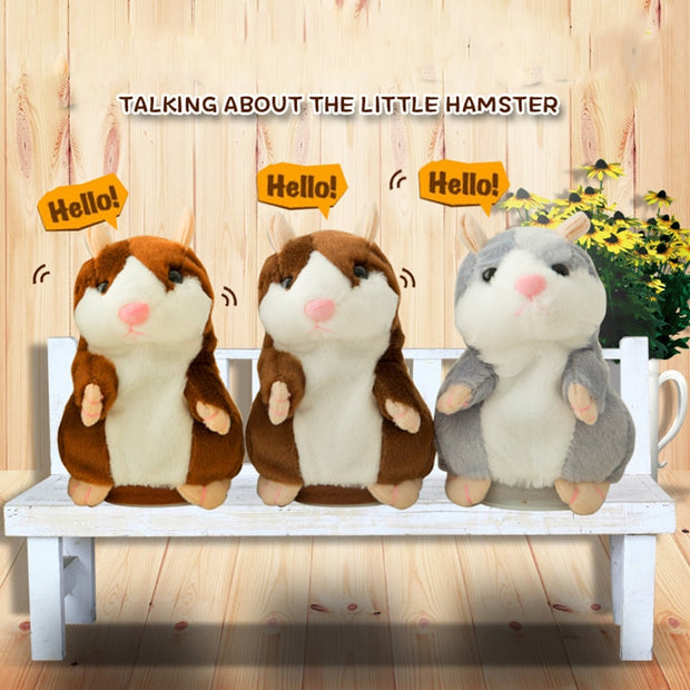 Cute Talking Hamster